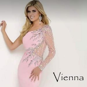 Pink Vienna Gown